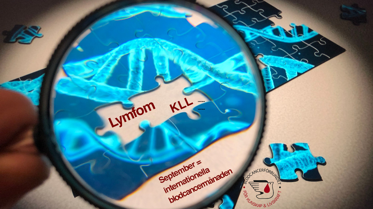 Pusselbitar Saknas Lymfom Och KLL Montage September Blodcancermanaden