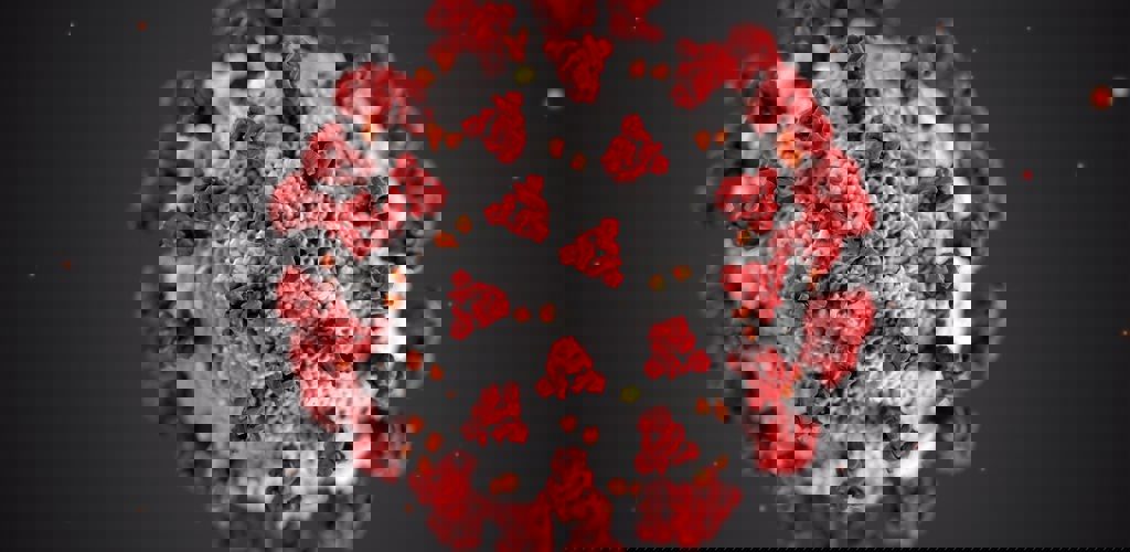 Cdc W9keokhajkw Unsplash