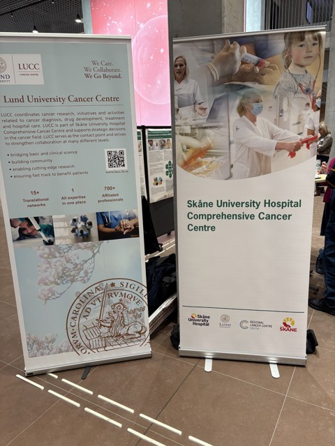 skane VCD 2026 englezon 1