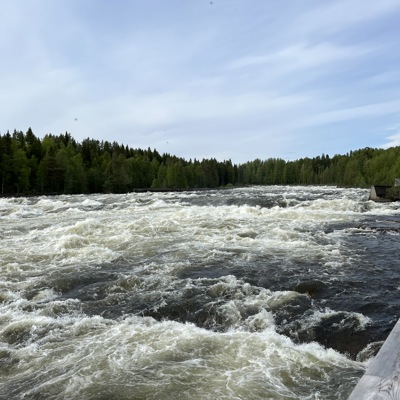 IMG 7787