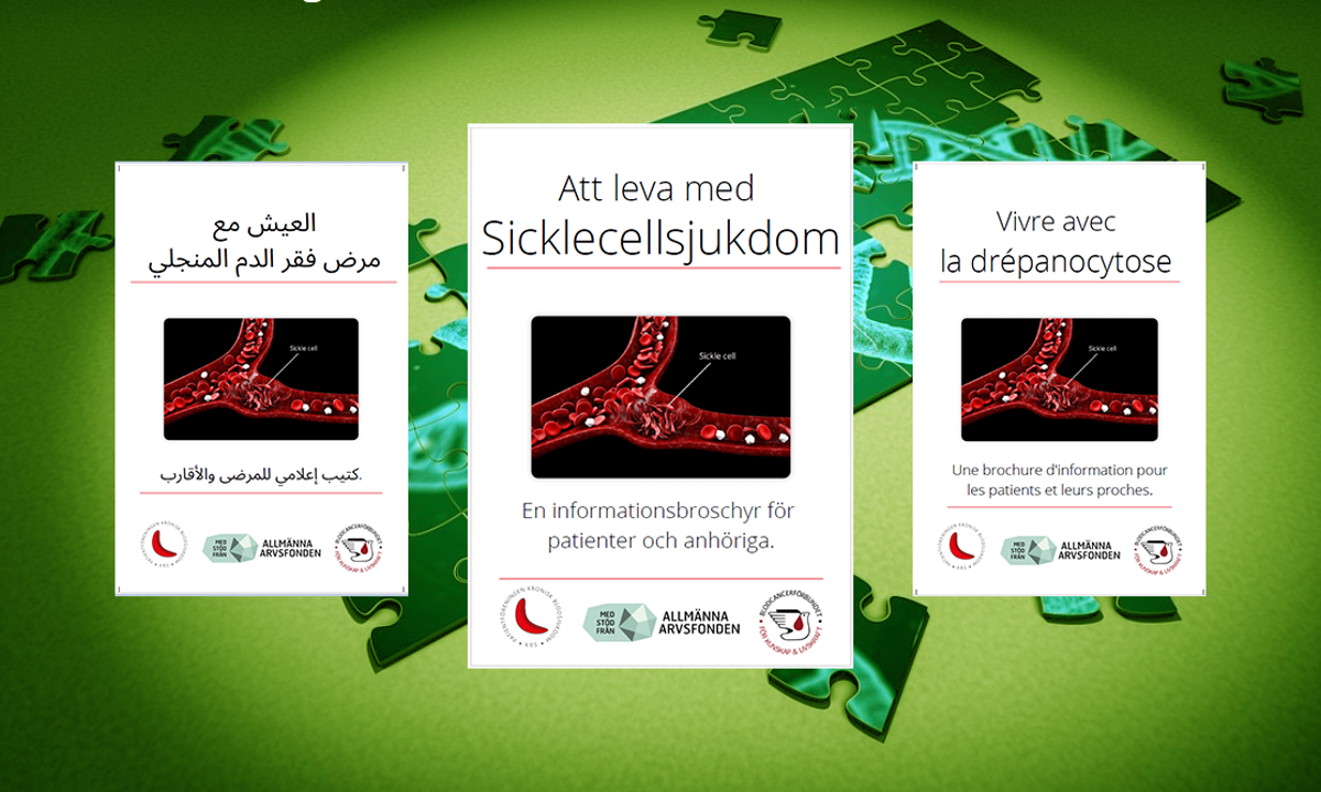 Pussel Dna Vard Sicklecellanemi Montage 3Sprak