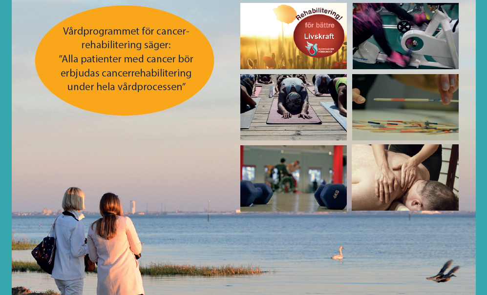 Rehab Traning Pushbild Collage Hsj BLCF Beskuren