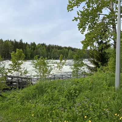 IMG 7791