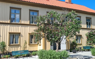 Image (2)
