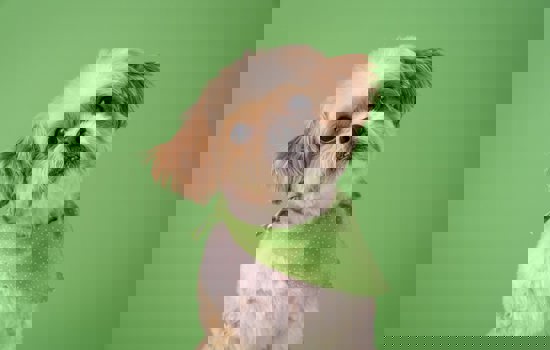 Karsten Winegeart Ybdjjl4do9g Unsplash