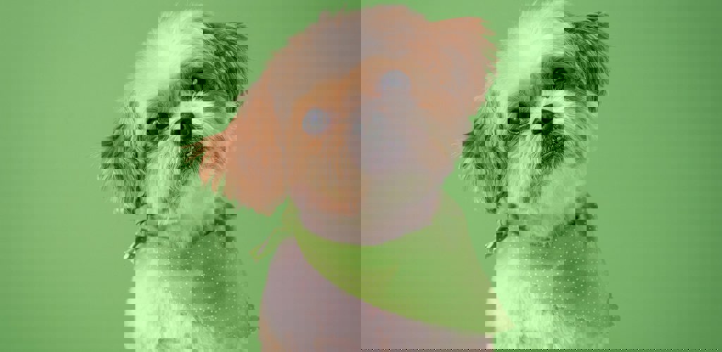 Karsten Winegeart Ybdjjl4do9g Unsplash