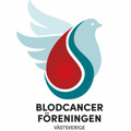 BLCF Logotyp Liggande RGB (1)
