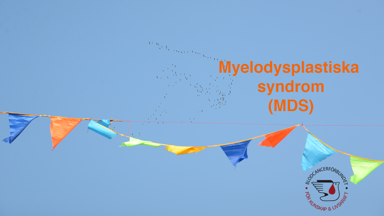 Genrebild Fhsj Framtid (3) Blodcancerforbundet MDS
