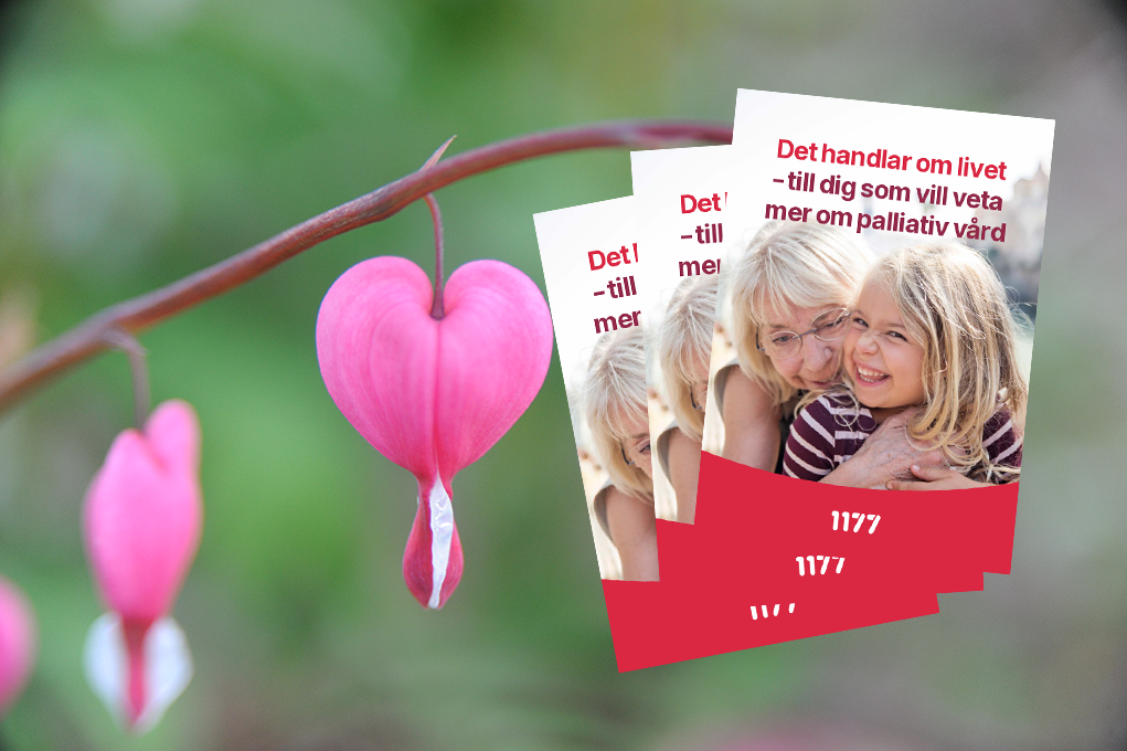 Genre Lojtnants Hjartan Fhsj 1477 72Dpi Med Rccs Palliativ Broschyr