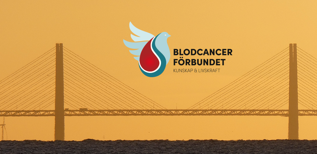 Solnegang Oresundsbron Och BLCF Ny Logotyp Logga Liggande 2024