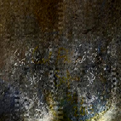 448442286 10229030334235428 2477657428384367980 N