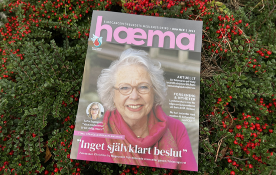 Haema 3 2025 Omslaget Prinsessan 96Dpi