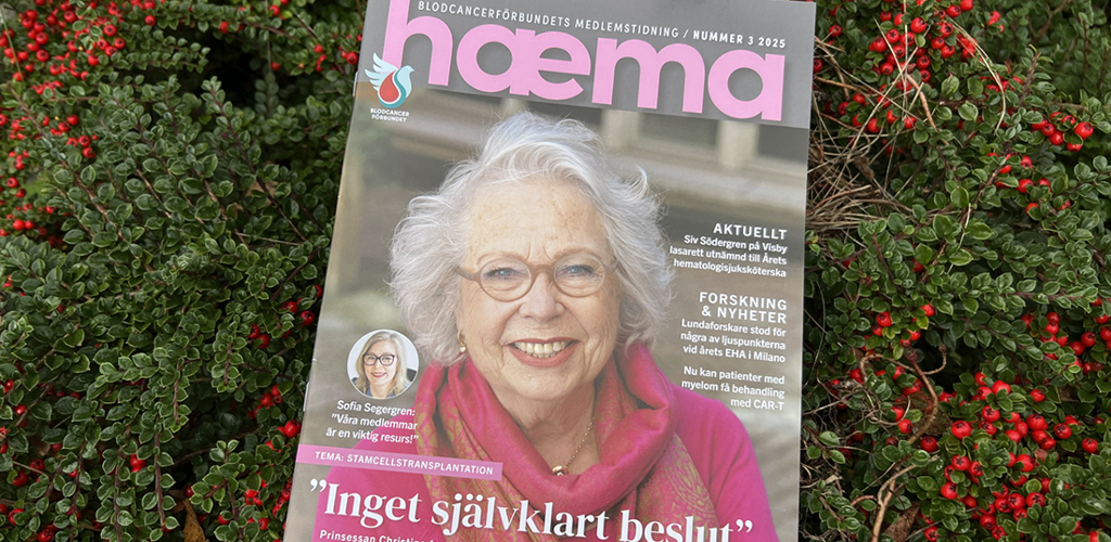 Haema 3 2025 Omslaget Prinsessan 96Dpi