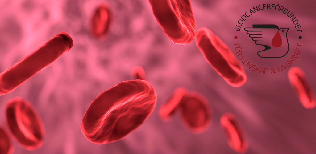 Roda Blodplattar Illustration M BLCF Logga Transparent