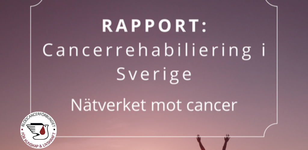 Rehabrapport 2023 Nätverketmotcancer M Blcf Logga