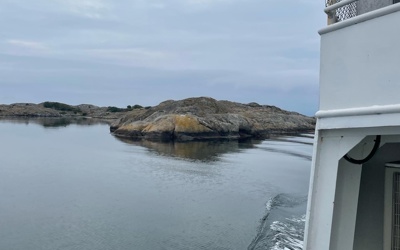 Image1