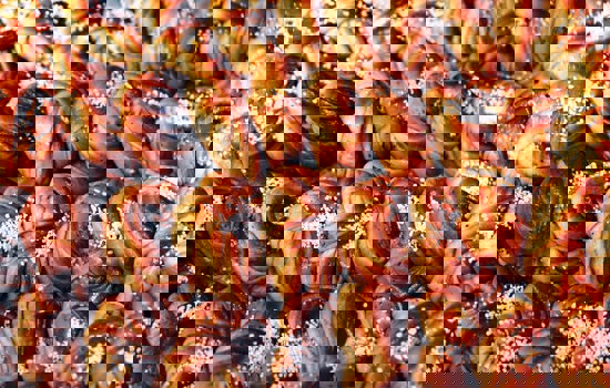 Daniel Masajada Kdtd6fdxkmi Unsplash