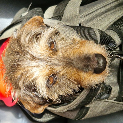 Blodcancerf Uppsala Fikaträff 20 Sept 2025 20250920 142750 Landings Konditori Taxen