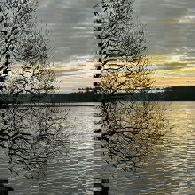 621D4b21 698F 4Eb0 8D61 28F4abe72cf7