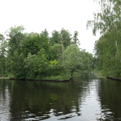 16 På Väg In I Svartån