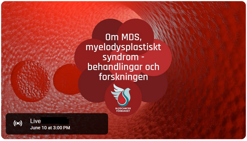 MDSföreläsning juni2025