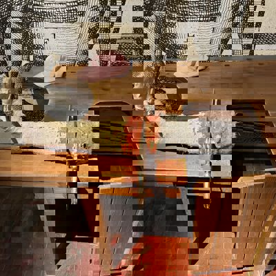 448485857 10229030334995447 5510369190076681944 N