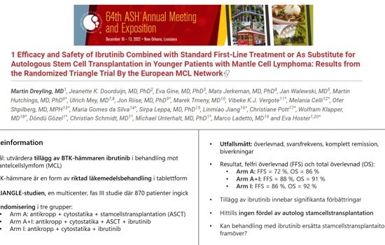 Foskningsbloggen V 10 (2023) 2