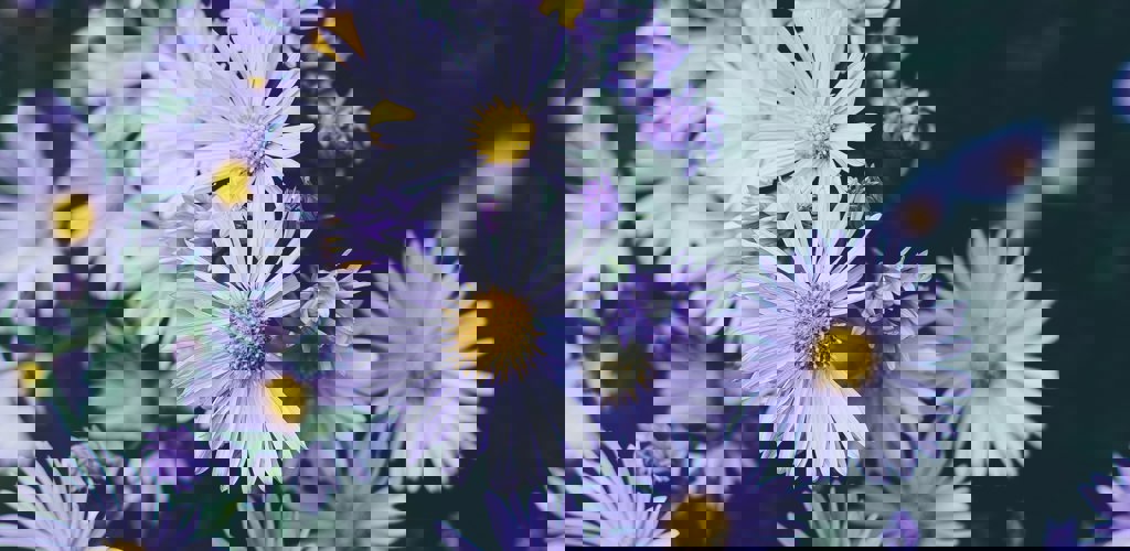 Annie Spratt 4Wz1ysanfb0 Unsplash