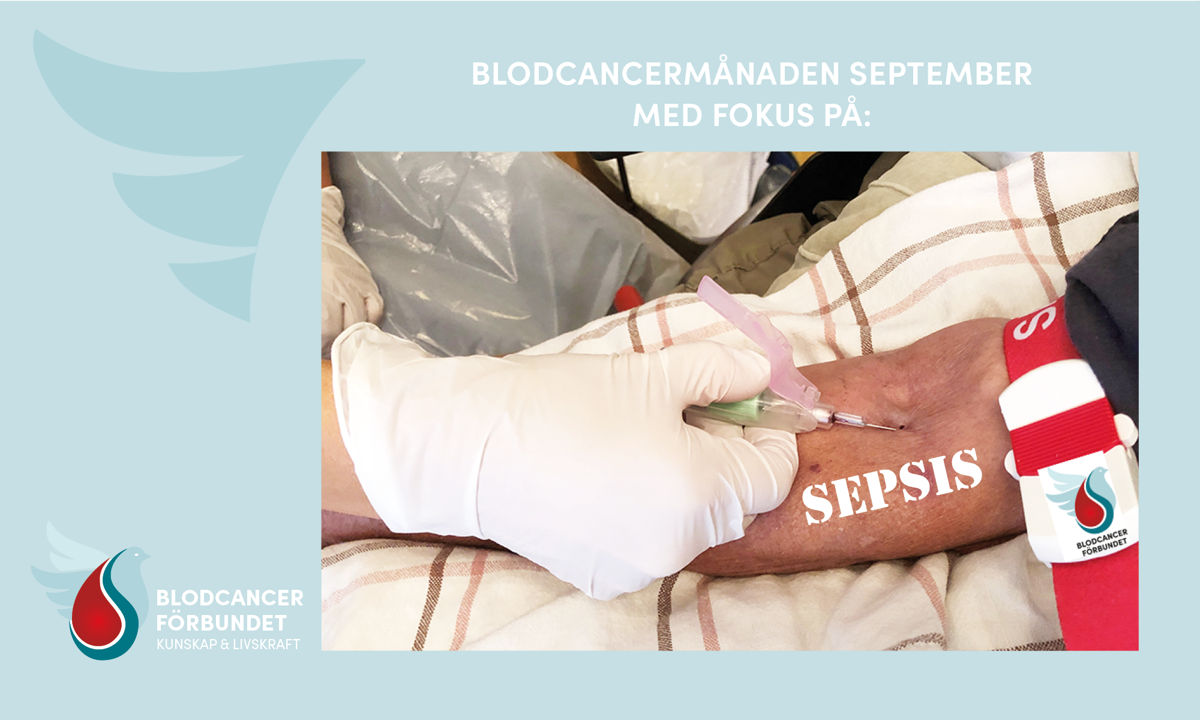 1500X900 Px Mall Genrebilder Blodcancermånaden September M Blodcancerdagsgrafik Sepsis