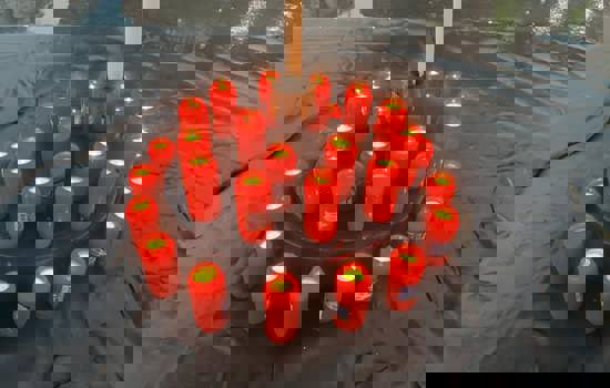 461180357 10230045342930011 3412990187927652037 N