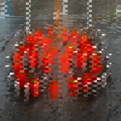 461180357 10230045342930011 3412990187927652037 N