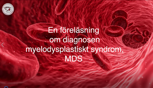 startbild MDS-föreläsning