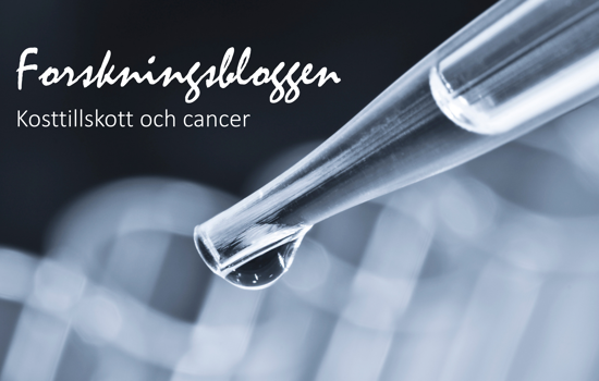 Forskningsbloggen (2)