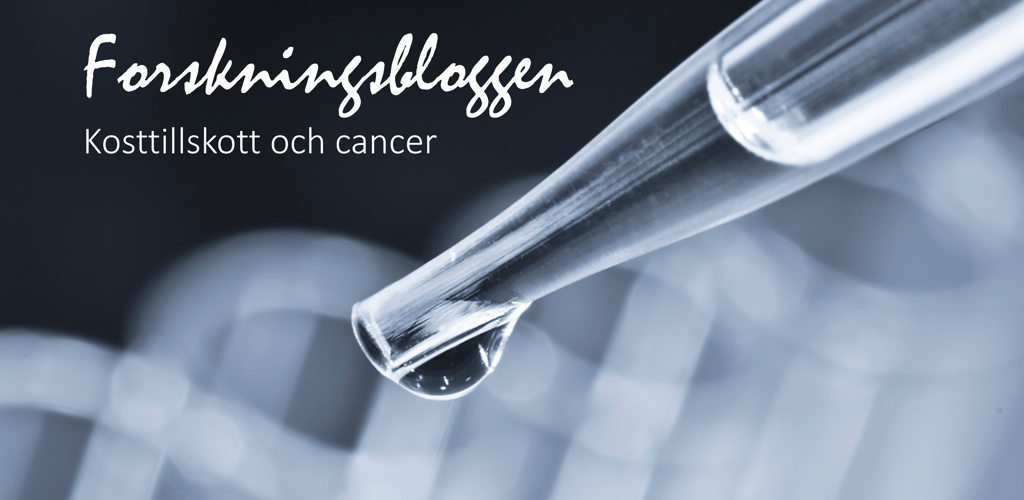 Forskningsbloggen (2)