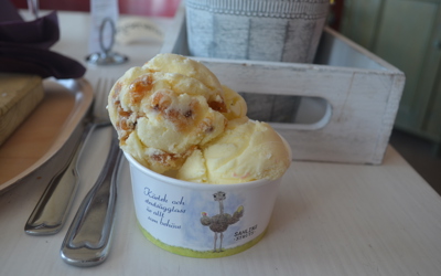 Strutsfarm 2019 139 Lunch Strutsglass Hjortron Röda Vinbär