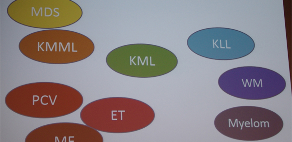 Vad Är Kronisk Blodcancer