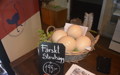 Strutsfarm 2019 146 Butik Färska Strutsägg