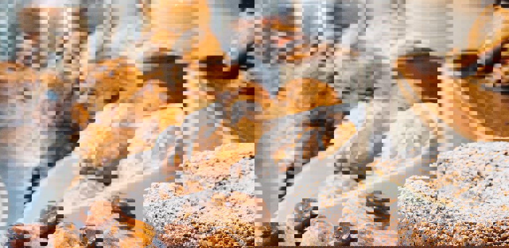 Kirsten Drew N49bjsff5di Unsplash