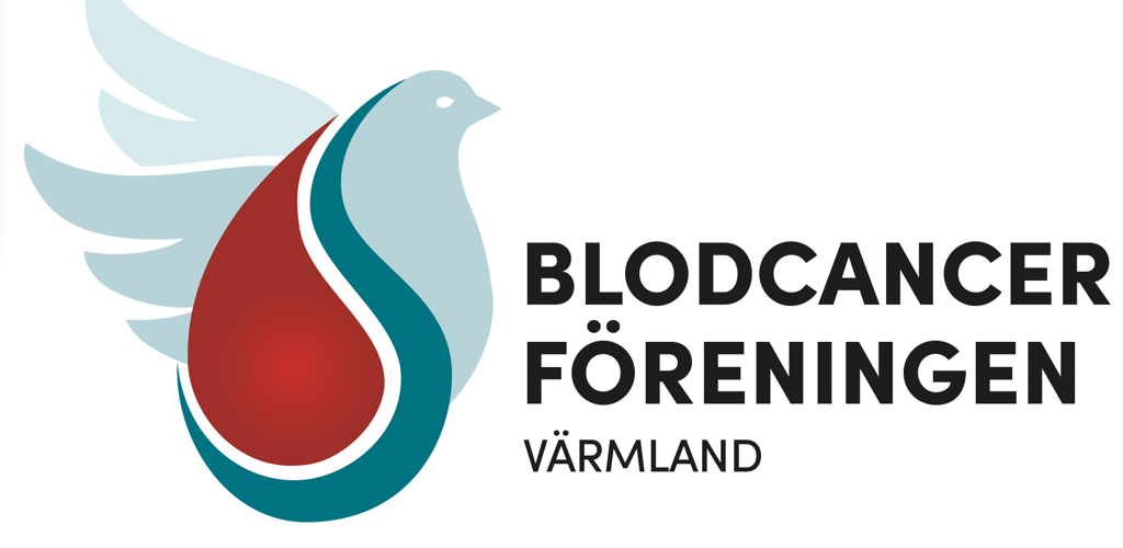 Skärmavbild 2024 11 04 Kl. 08.40.08