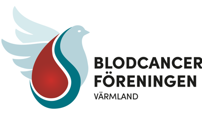 Skärmavbild 2024 11 04 Kl. 08.40.08