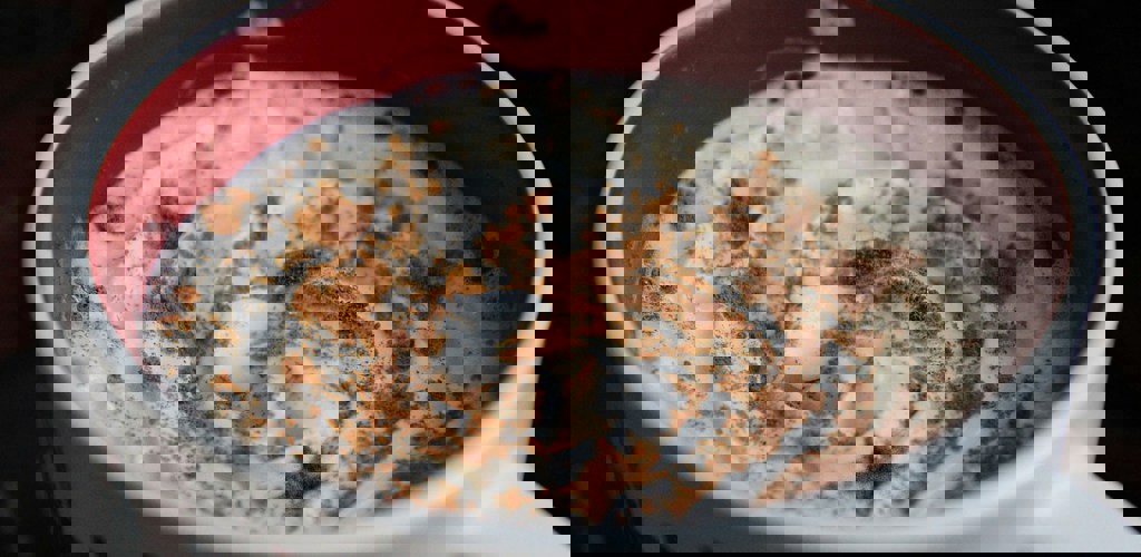 Emy Abreu Hzz6oqmywbe Unsplash