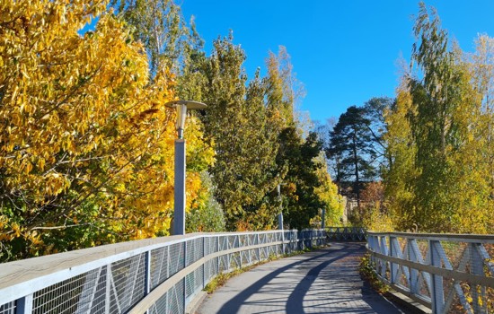 333037195 2187339868119214 3912814772616413848 N