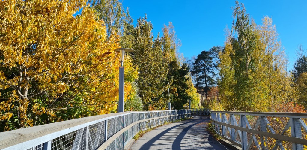 333037195 2187339868119214 3912814772616413848 N