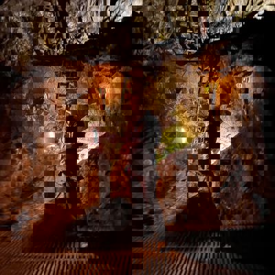 448497836 10229030333755416 6062195163173507036 N