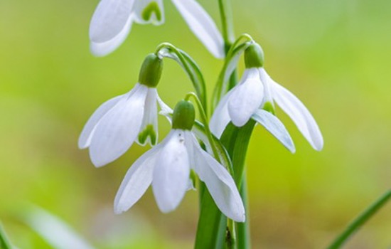 089BB2BA C825 4ECA AAB7 9FFE51C30550