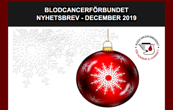 Skärmavbild 2019 12 20 Kl. 08.44.21