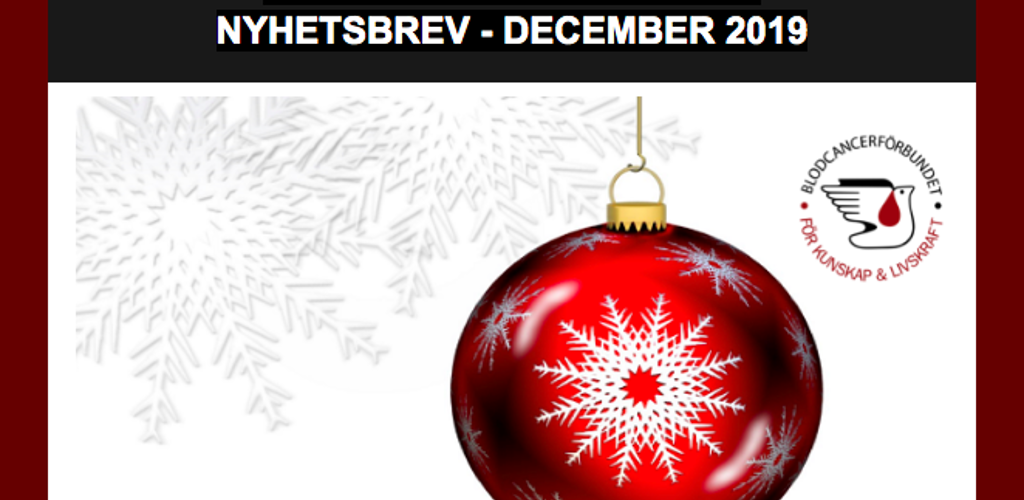 Skärmavbild 2019 12 20 Kl. 08.44.21