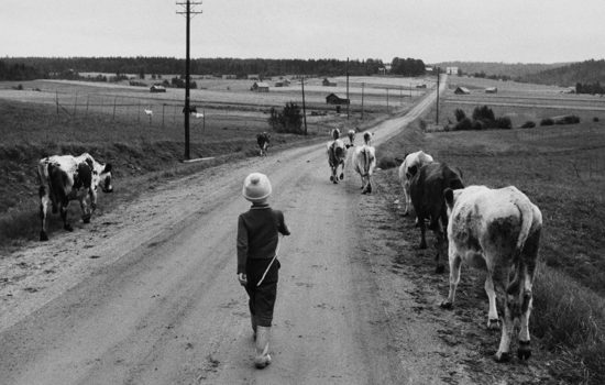 Vb Museum Utställning 2
