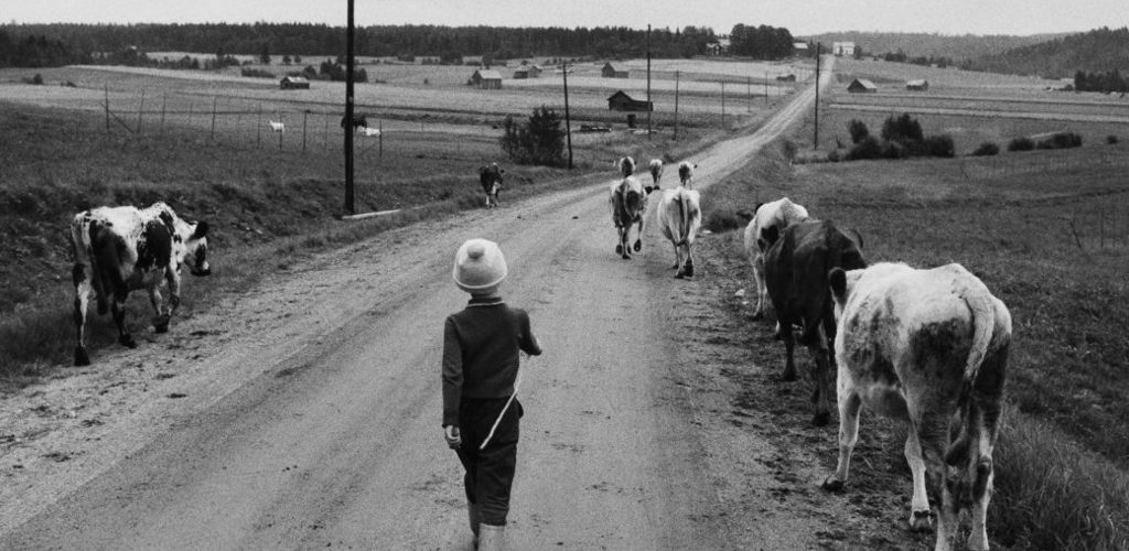 Vb Museum Utställning 2