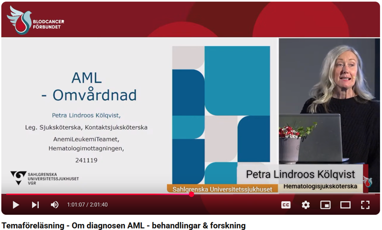 AML Petra forelaser 2024